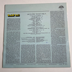 Винтажная виниловая пластинка LP Rudolf Rokl Jak To CitimThe Way I Feel It (Чехословакия 1985)