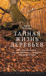 Тайная жизнь деревьев