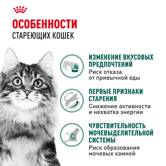 Royal Canin Instinctive +7 влажный корм в СОУСЕ для кошек и котов старше 7 лет