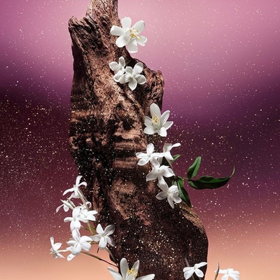 Отдушка Royal Jasmine (Королевский Жасмин)