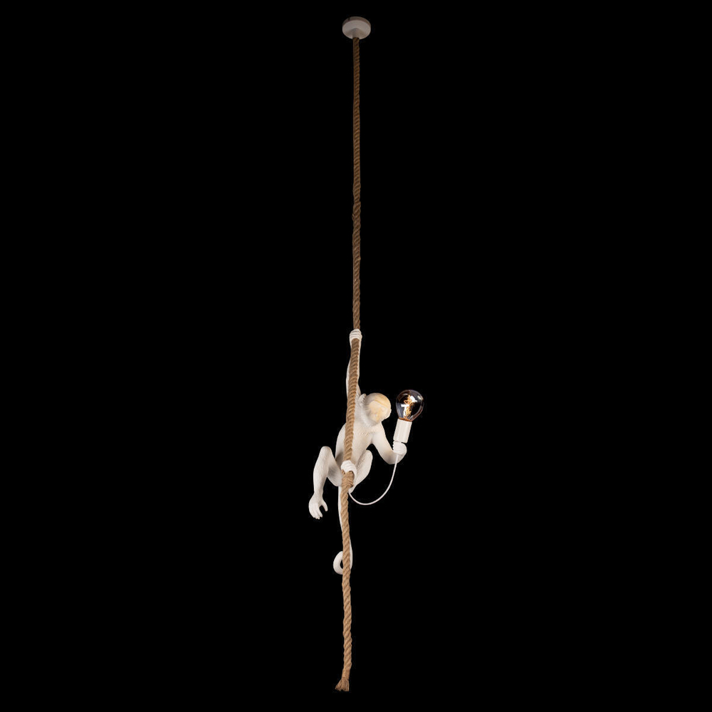 Подвесной светильник Loft It Monkey  10314P