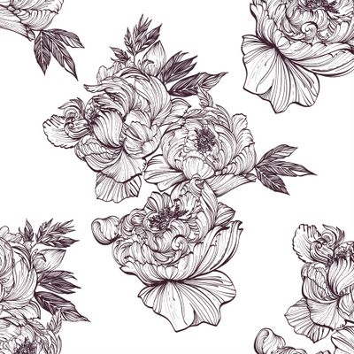 Пионы на белом.