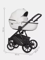 Коляска MONTANA ECCO (2 в 1) (RIKO BASIC)