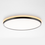 Потолочный светодиодный светильник Citilux Norma CL749401 LED RGB