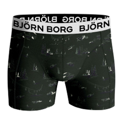 Спортивные боксеры Bj_rn Borg Core B 2P — green/print