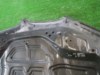 DSCN5601.jpg
