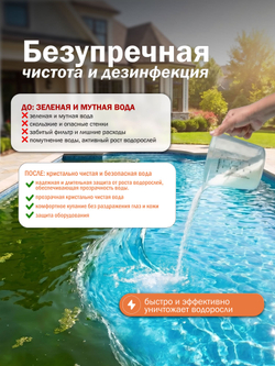 АЛЬГИТИНН непенящийся, флакон 1л