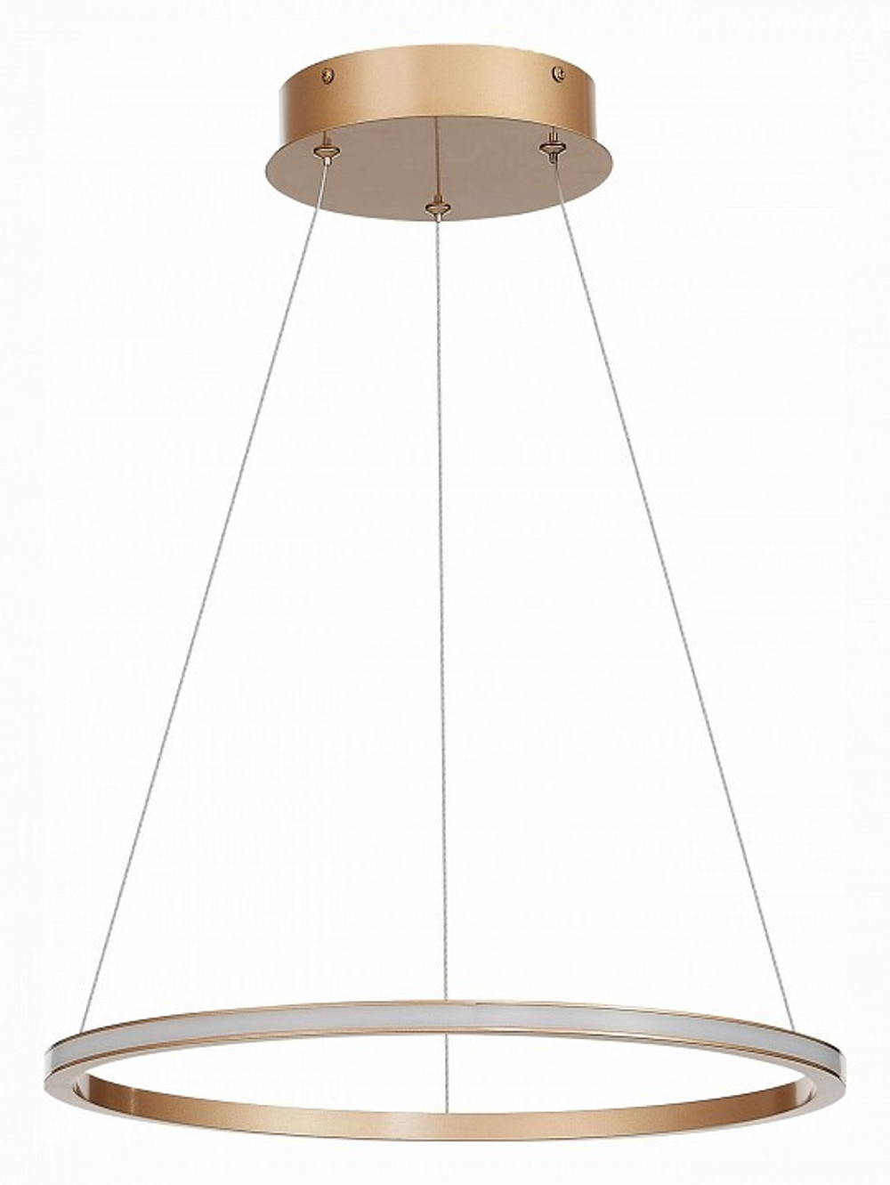 Подвесной светильник ST-Luce ST604 OUT ST604.243.22