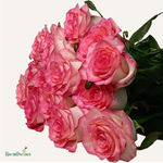Фон карточки (20).png