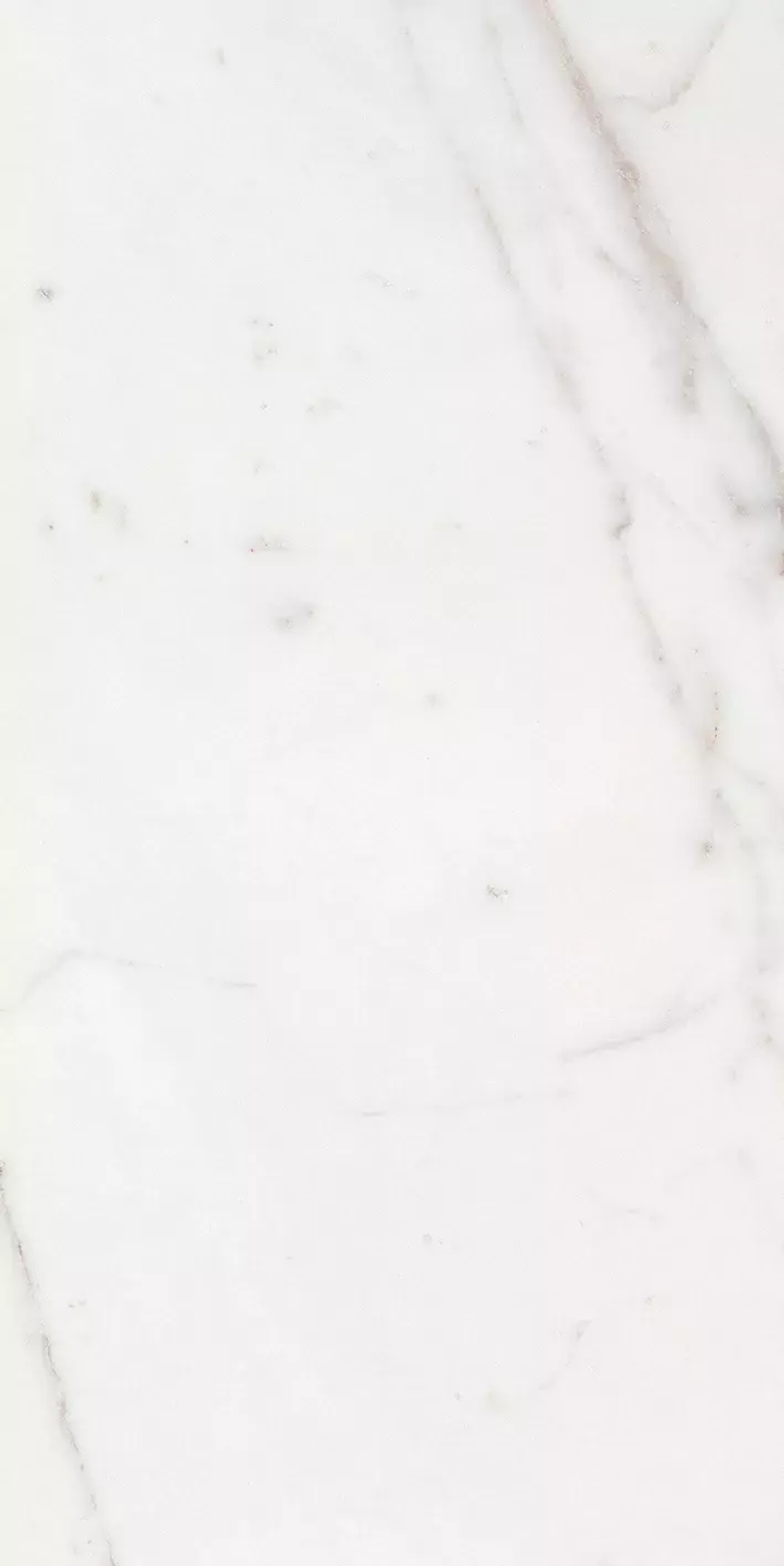 Керамогранит Les Origines de REX Argent Glossy 6mm R
