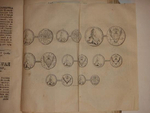 "Два тома Указов в одном переплёте". . 1778г. - редкая книга