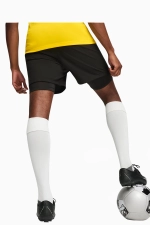 Шорты Puma teamGOAL 2 in 1