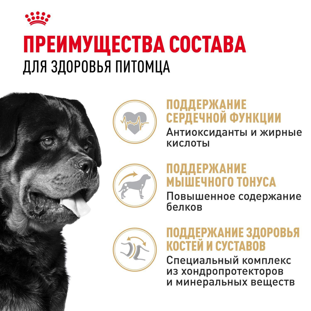 Royal Canin Rottweiller Adult Ротвейлер Эдалт Корм сухой для взрослых собак породы Ротвейлер от 18 месяцев 12кг