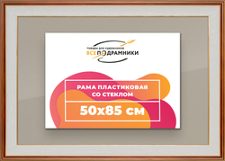 Рамка 50x85 для постера и фотографий