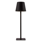 Аккумуляторный светильник F-Promo Pyari 4615-1T