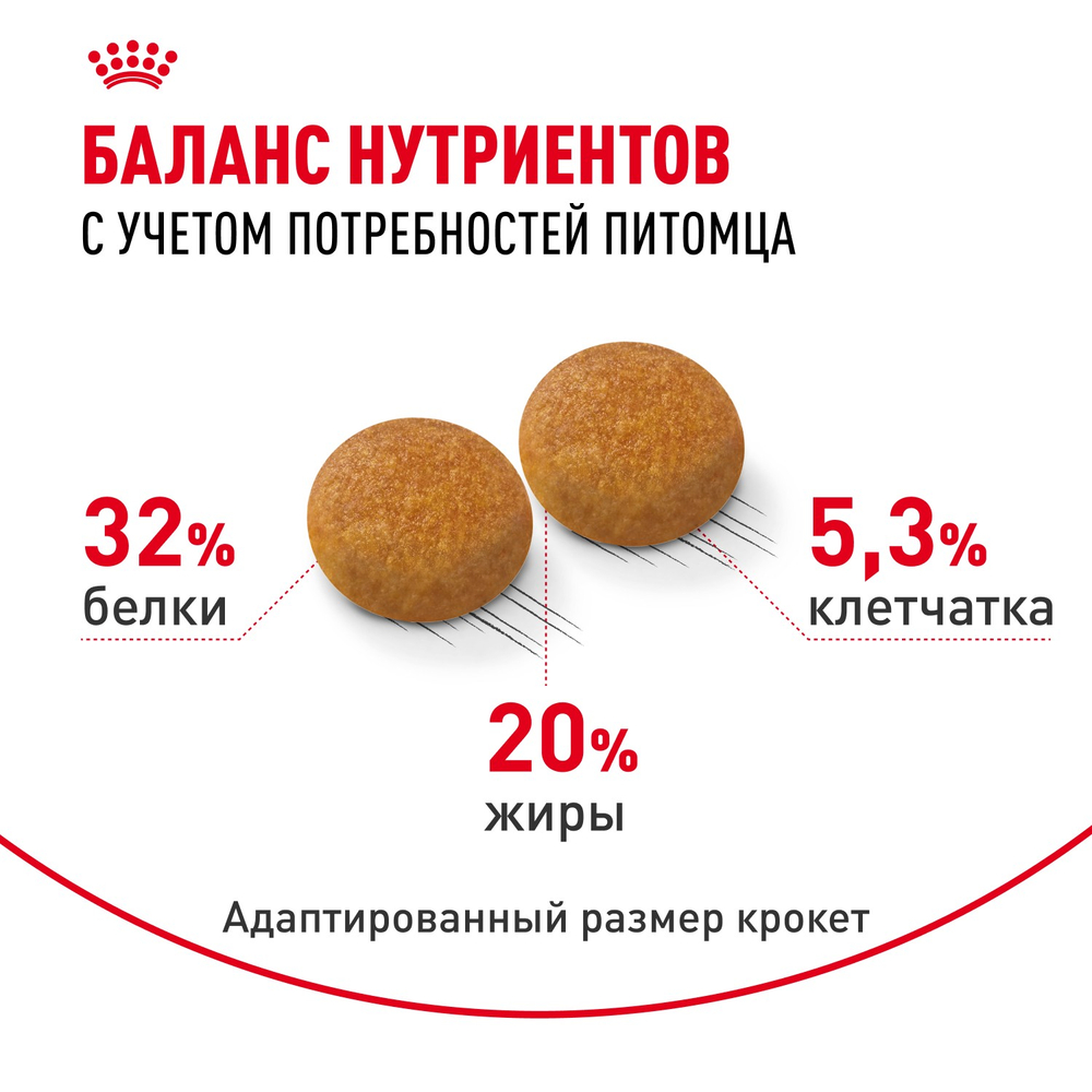 Royal Canin Siberian Adult Сибирская Эдалт Корм сухой для взрослых кошек сибирской породы от 1 года и старше 400г