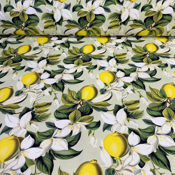 Дак/Duck Digital Рис.17 | ш.180 см | 220 г/м² | 65% хлопок, 35% полиэстер