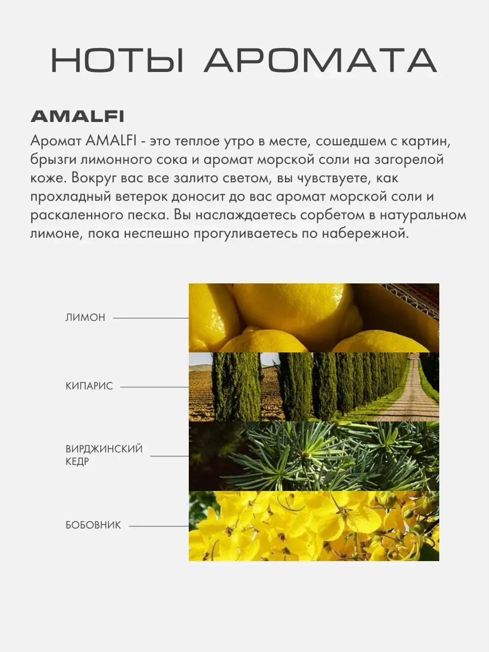 Интерьерный парфюм АМАЛФИ (AMALFI)