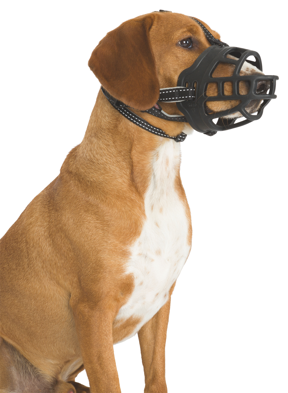 Намордник Muzzle Flex, резина, S (19 см, длина лобного ремня до 18 см), чёрный, Trixie