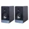 Radiotehnika S-10N Black Ash