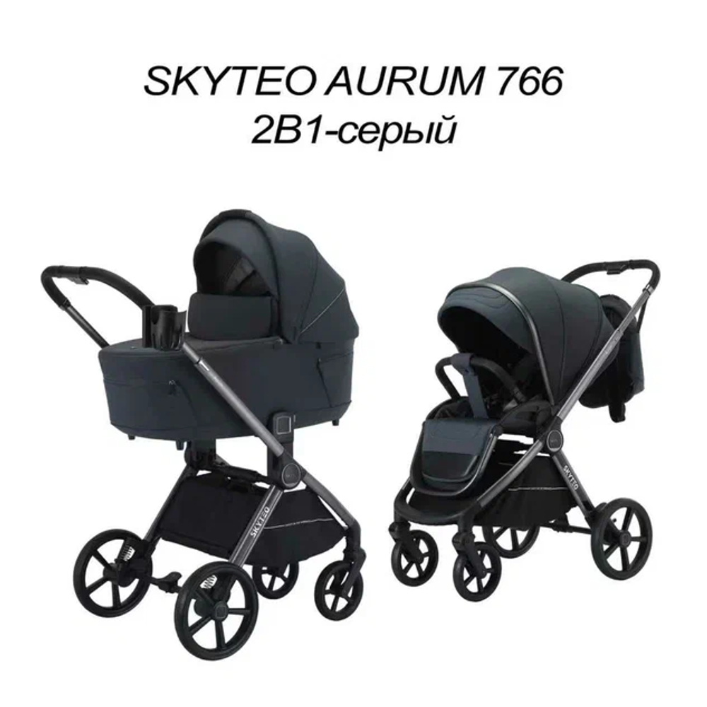 Коляска 2 в 1 SKYTEO AURUM 766