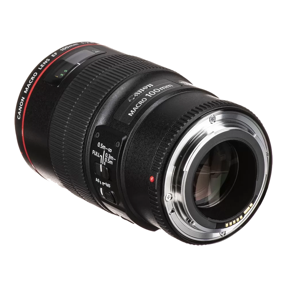 Объектив Canon EF 100mm f/2.8L Macro IS USM