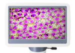 Микроскоп цифровой Levenhuk D85L LCD