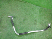 DSCN9645.JPG