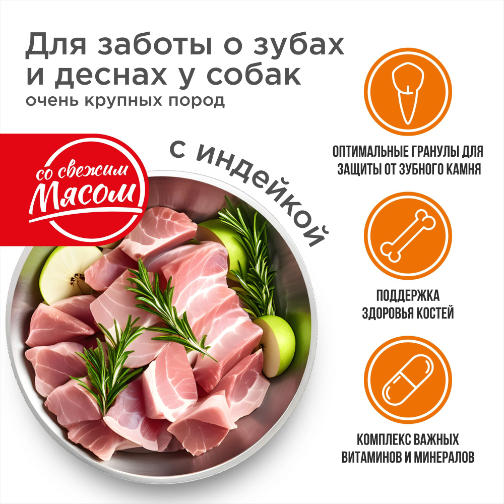 Корм сухой для взрослых собак очень крупных пород, премиум полнорационный комплекс, для заботы зубов и десен, с индейкой, 2,5 кг, QUATTRO
