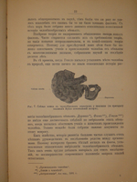 "Этюды о природе человека". И.И.Мечников. 1904г.