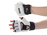 Kwon Hand protector Taekwondo Evolution