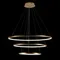 Подвесной светильник Ring 10015/3 Loft It