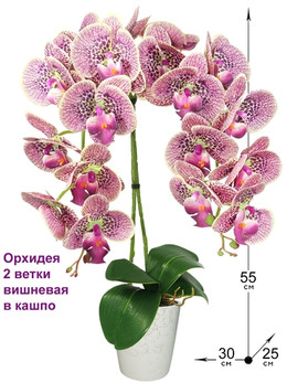Искусственная Орхидея 2 ветки вишневая латекс 55см в кашпо
