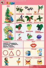 Комплект таблиц Окружающий мир 5-6 лет. "Животные и растения". (12 таблиц+16 карт.)