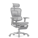 Кресло FALTO Ergohuman Luxury 2 с подножкой ( серый каркас /сетка светлаяT-168-B2 Natural)