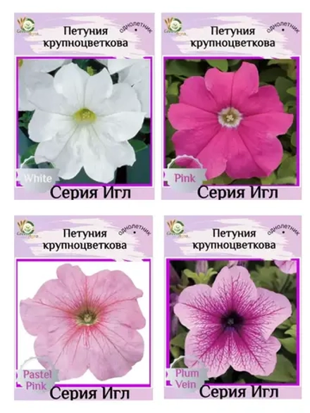 Семена Петуния Крупноцветковая
