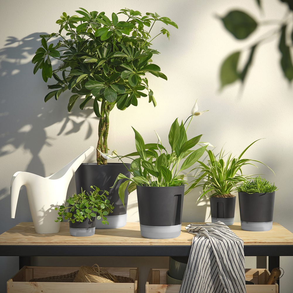IKEA VÅRDTRÄD  (ИКЕА ВОРДТРЭД)  -  Кашпо с автополивом - для дома/улицы прозрачный/антрацит 15 см