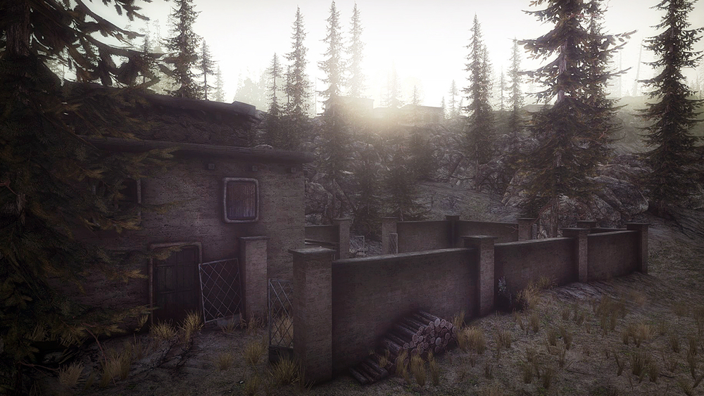 Insurgency (Версия для СНГ [ Кроме РФ и РБ ]) (для ПК, цифровой код доступа)