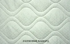 Матрас Актив Моллис Мультипакет/Multipocket S1000 кокос20+орто20+латекс20