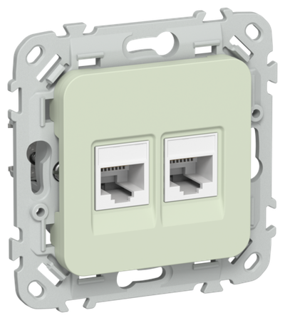 FLITE Розетка 2-местная RJ45/RJ11 категория 5Е/3 UTP РКТ5е/3-2-0-ФлП панг IEK