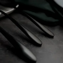 Ложка столовая 21 см матовая черный цвет PVD Alessi-Black P.L. [12]