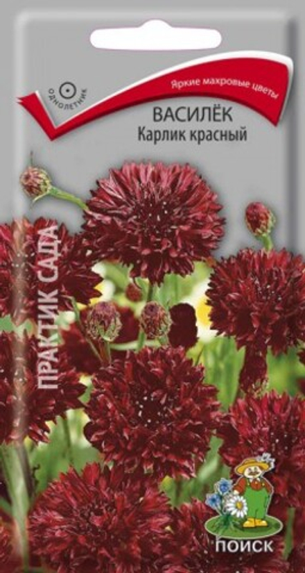 Василек Красный Карлик 0,1гр Поиск