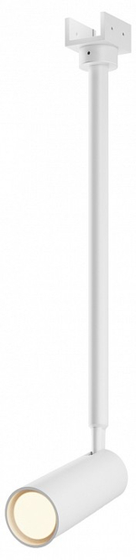Светильник на штанге Maytoni Outdoor Фокус O-TR01-2-P-8WW3K