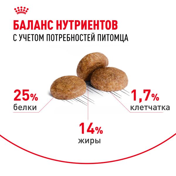 Сухой корм Royal Canin Medium Adult 7+ для взрослых собак средних размеров от 7 лет и старше