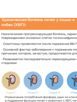 Кормовая добавка