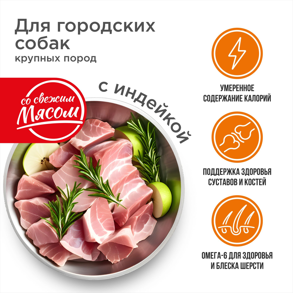 Корм сухой для взрослых собак крупных пород, премиум полнорационный комплекс, для городских собак, с индейкой, 12 кг, QUATTRO