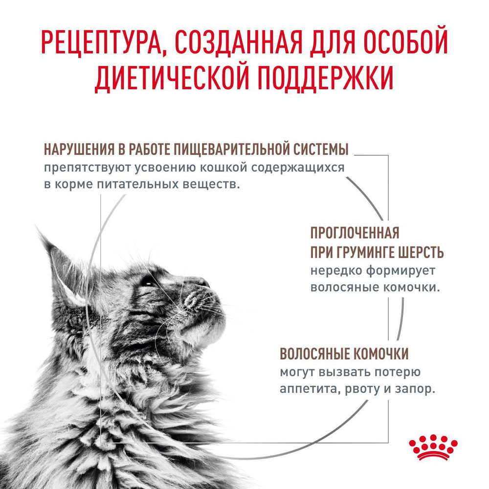 Royal Canin Gastrointestinal Hairball Гастроинтестинал Хэйрболл Корм сухой диета для взрослых кошек предотвращение образования волосяных комочков 350г