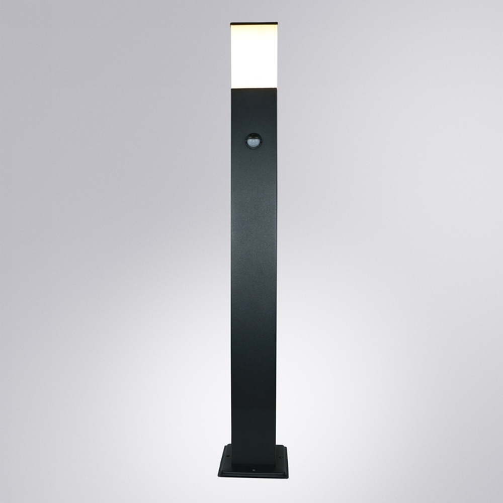 Ландшафтный светильник Arte Lamp PLATE A3711FN-1BK