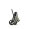 Детская коляска Cybex Priam V Style 2 в 1 Sage Green
