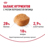 Сухой корм для собак Йоркширский терьер от 10 мес. и старше, 1.5кг Royal Canin Yorkshire Terrier Adult